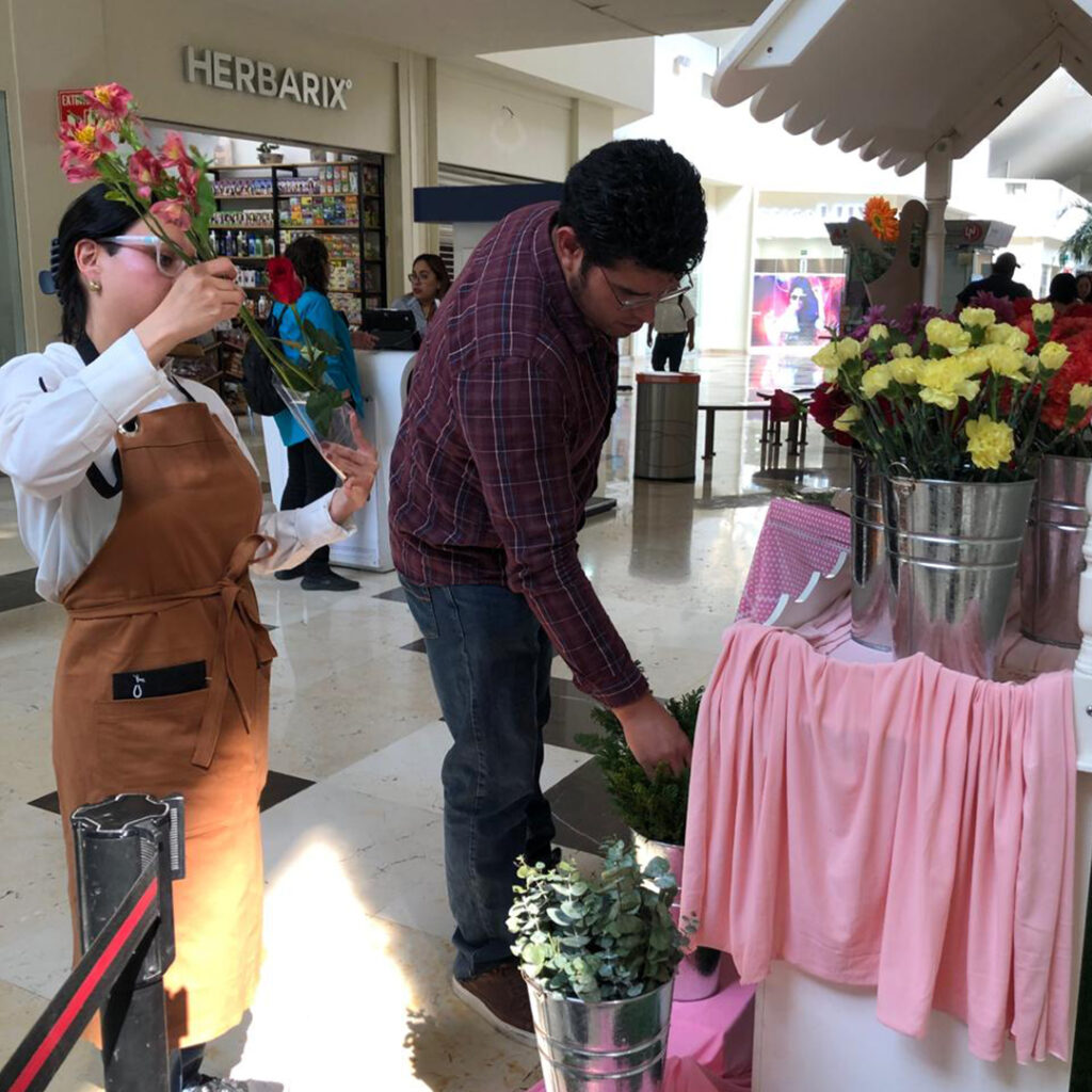 Sin título-1_0002_IMG-20250215-WA0030